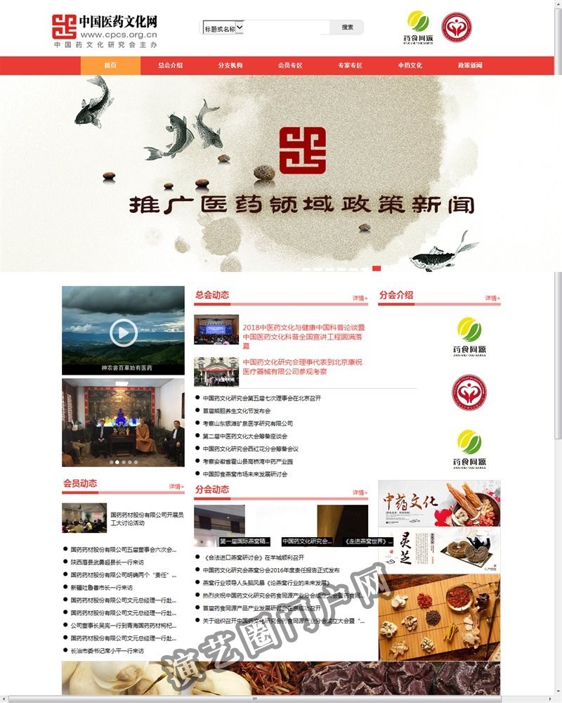 中国医药文化网截图